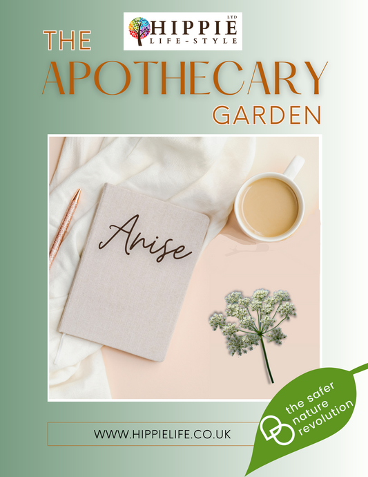 Free guide to Anise herb, or Aniseed, it's uses, benefits, properties and applications, for both medicinal and magical use.