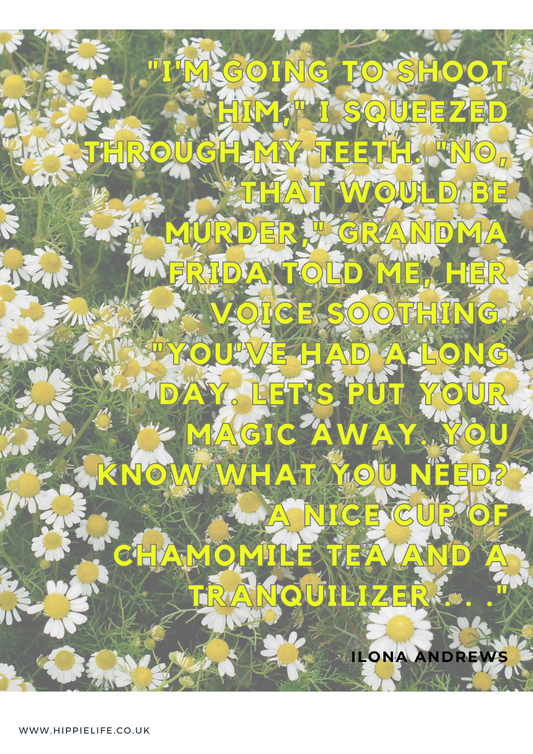Newsletter with information about the properties, benefits and applications of Chamomile Roman Essential Oil, and how to use it safely and effectively.