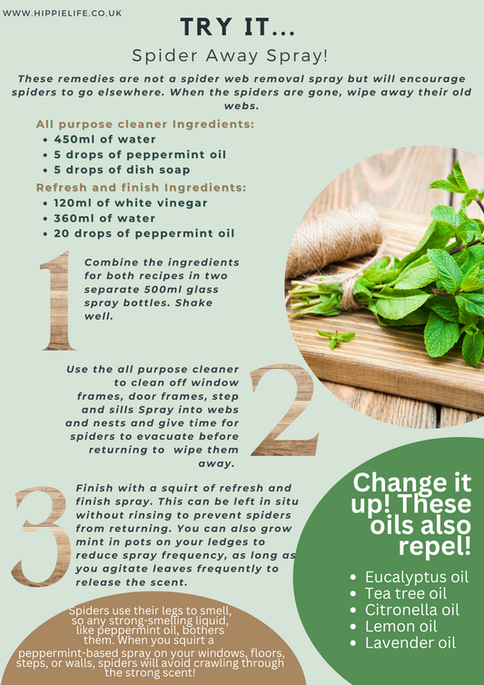 Make your own "Spider away spray" - Peppermint Spider Deterrent Treatment