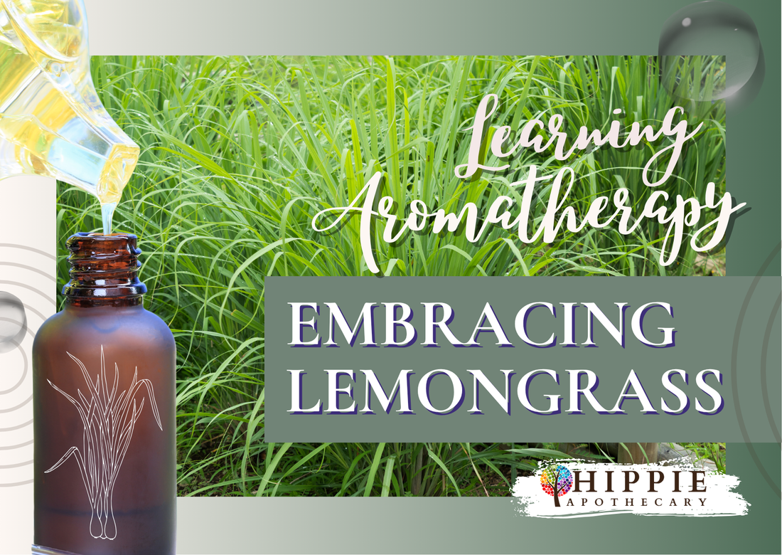 Organic Lemongrass essential oil and leaning about its use in aromatherapy