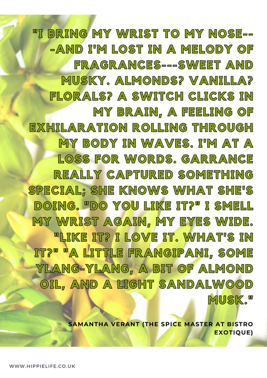 Newsletter with information about the properties, benefits and applications of Ylang ylang Essential Oil, and how to use it safely and effectively.