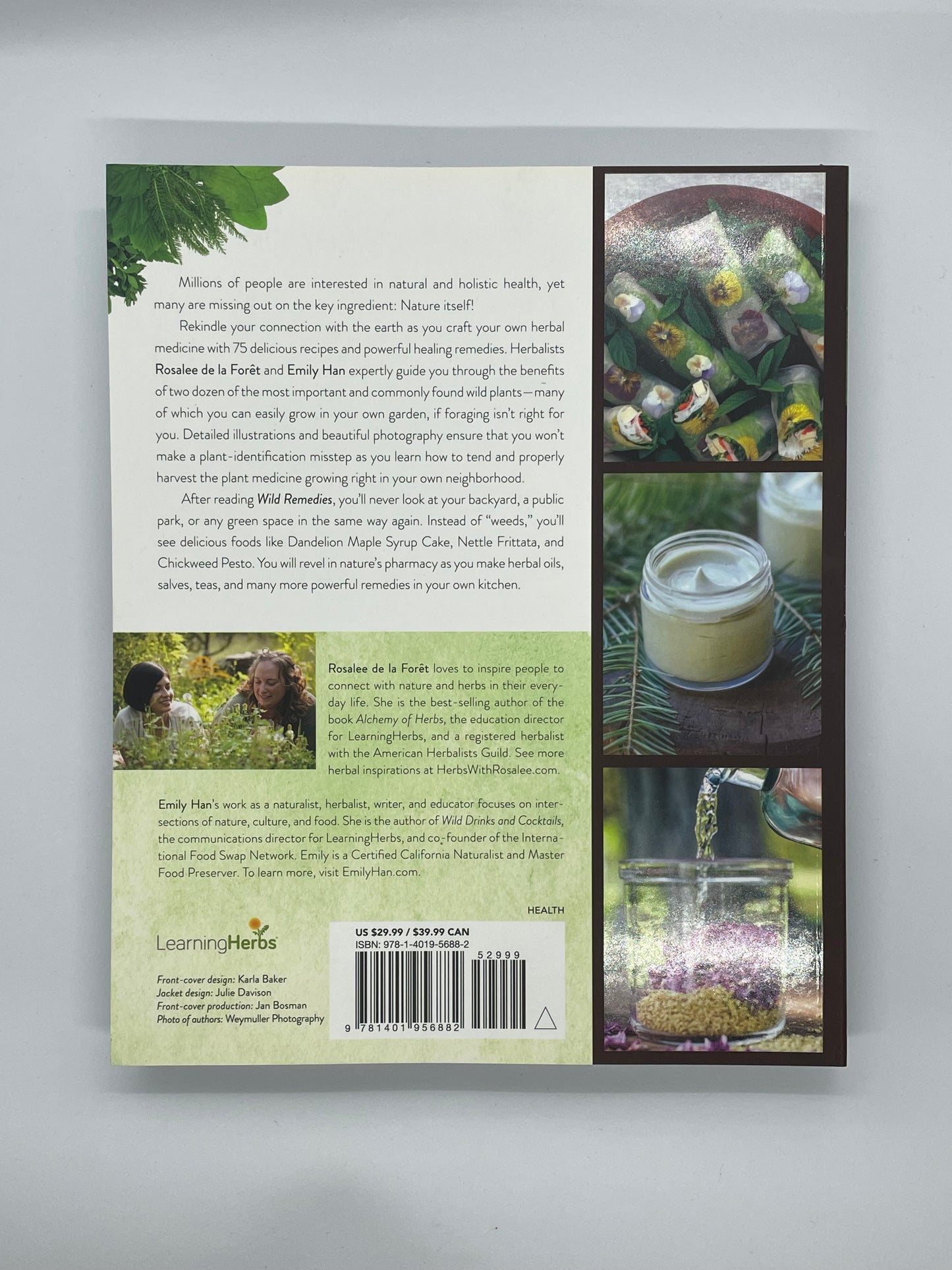 Wild Remedies - the secrets of natural and holistic health by foraging