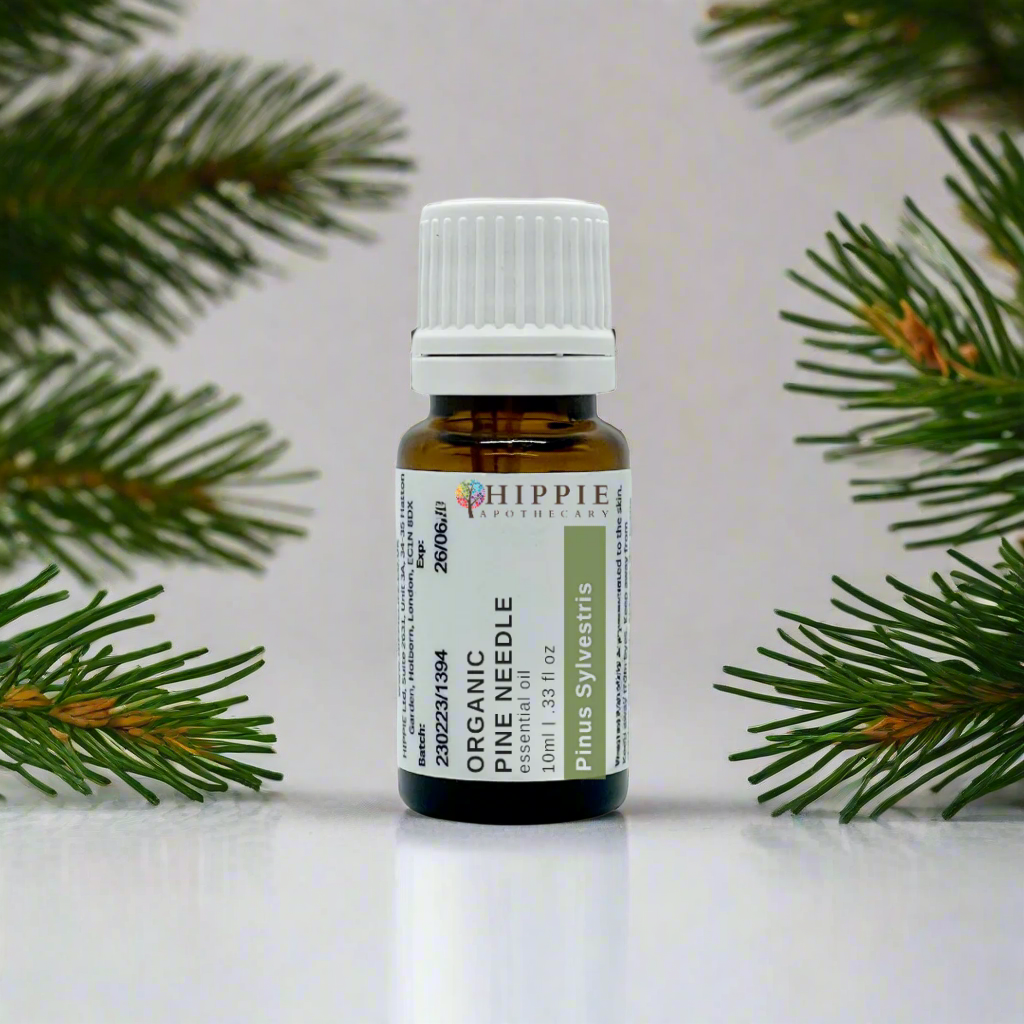 Organic scots pine needle essential oil bottle