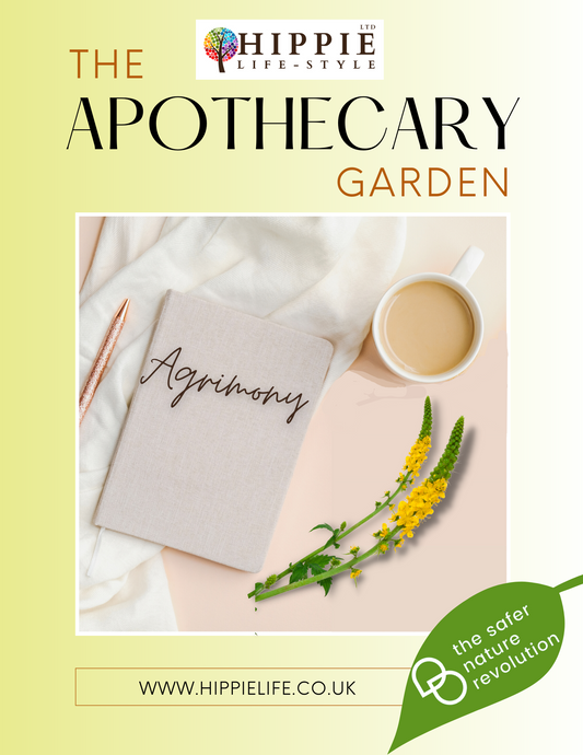 Properties, benefits, uses and application of Agrimony Herb