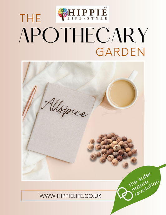 Free guide to Allspice Herb, it's uses, properties, benefits and applications for both medicinal and magical use.