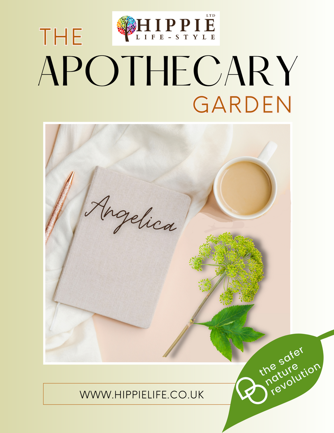 Information on Angelica herb, what does it do, what it is used for and how to grow Angelica at home