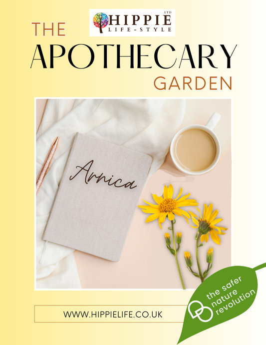 Free guide to Arnica herb, it's uses, benefits, properties and applications, for both medicinal and magical use.
