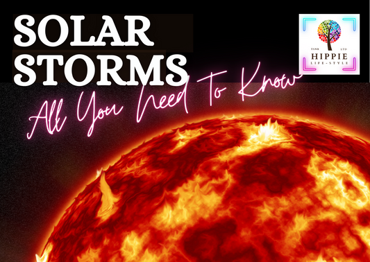 Solar Storms - A Holistic Perspective