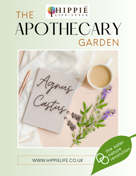 Agnus Castus Herbs with information. What does Agnus Castus do, is Agnus Castus good for periods and is Agnus Castus Safe