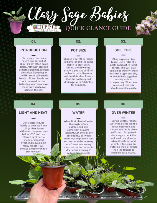 Clary Sage Medicine Baby Quick Start Guide