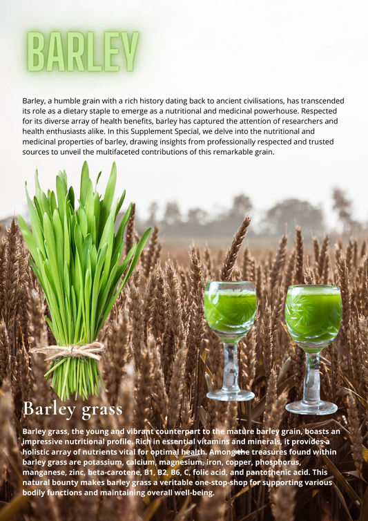 Barley and Barley Grass Properties, Benefits, Uses and more!