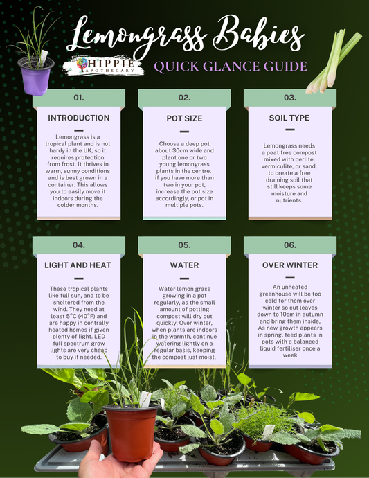 Lemongrass Medicine Baby Quick Start Guide
