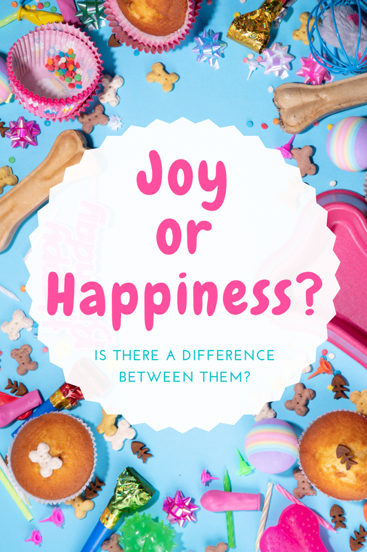 Is There a Difference Between Joy and Happiness?