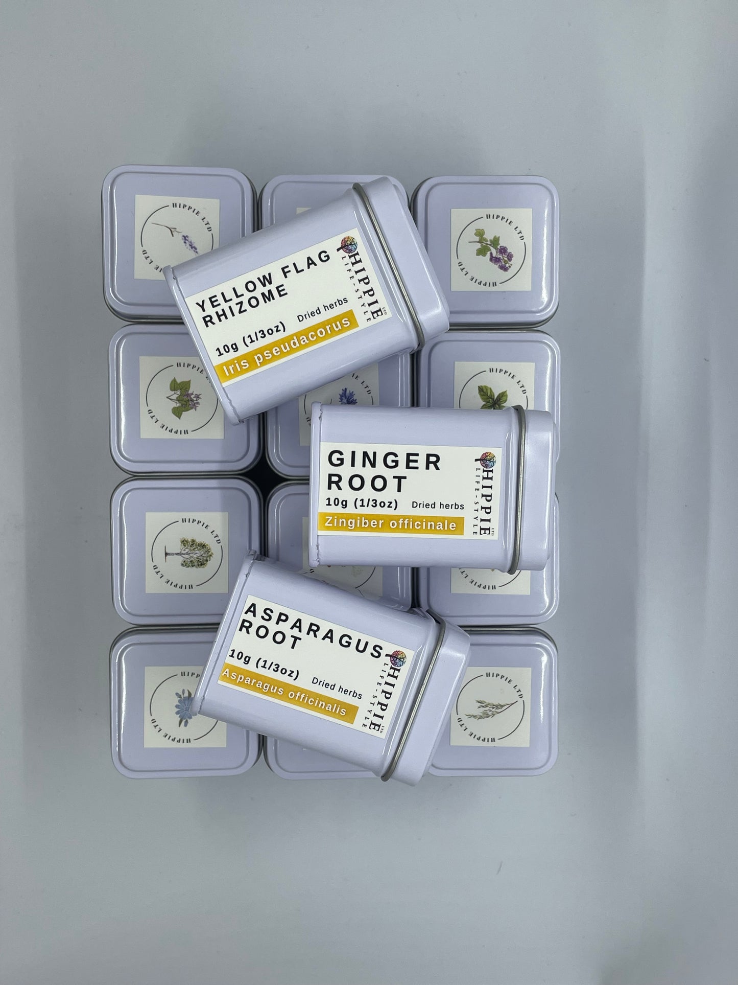 Yellow Flag Rhizome - 10g Apothecary Collector's Herb Tin