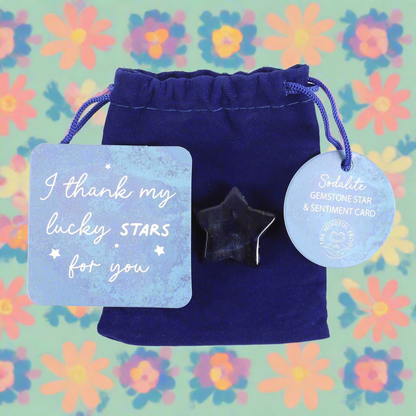 Lucky Sodalite Crystal Star in a Bag: A Token of Gratitude and Empowerment