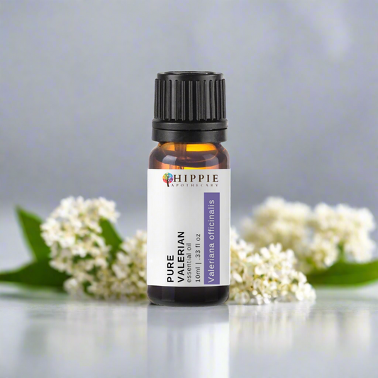 Valerian Essential Oil 10ml