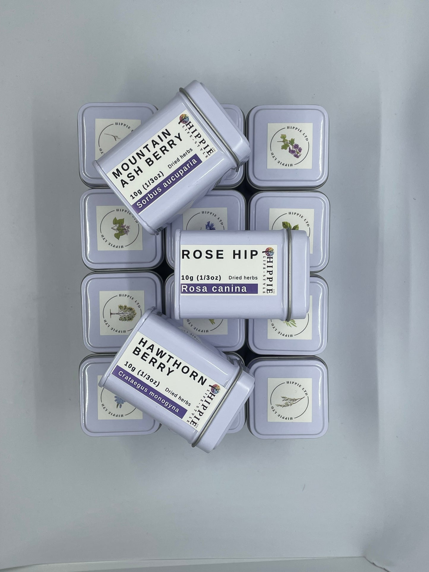 Elderberry - 10g Apothecary Collector's Herb Tin