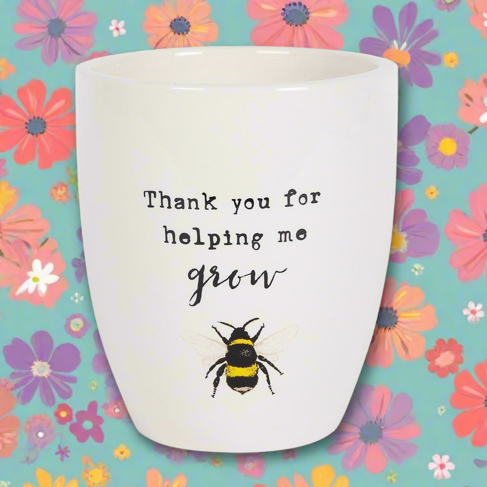 Ceramic Plant Pot with Bee Illustration: A Heartfelt Gift for Growth and Gratitude