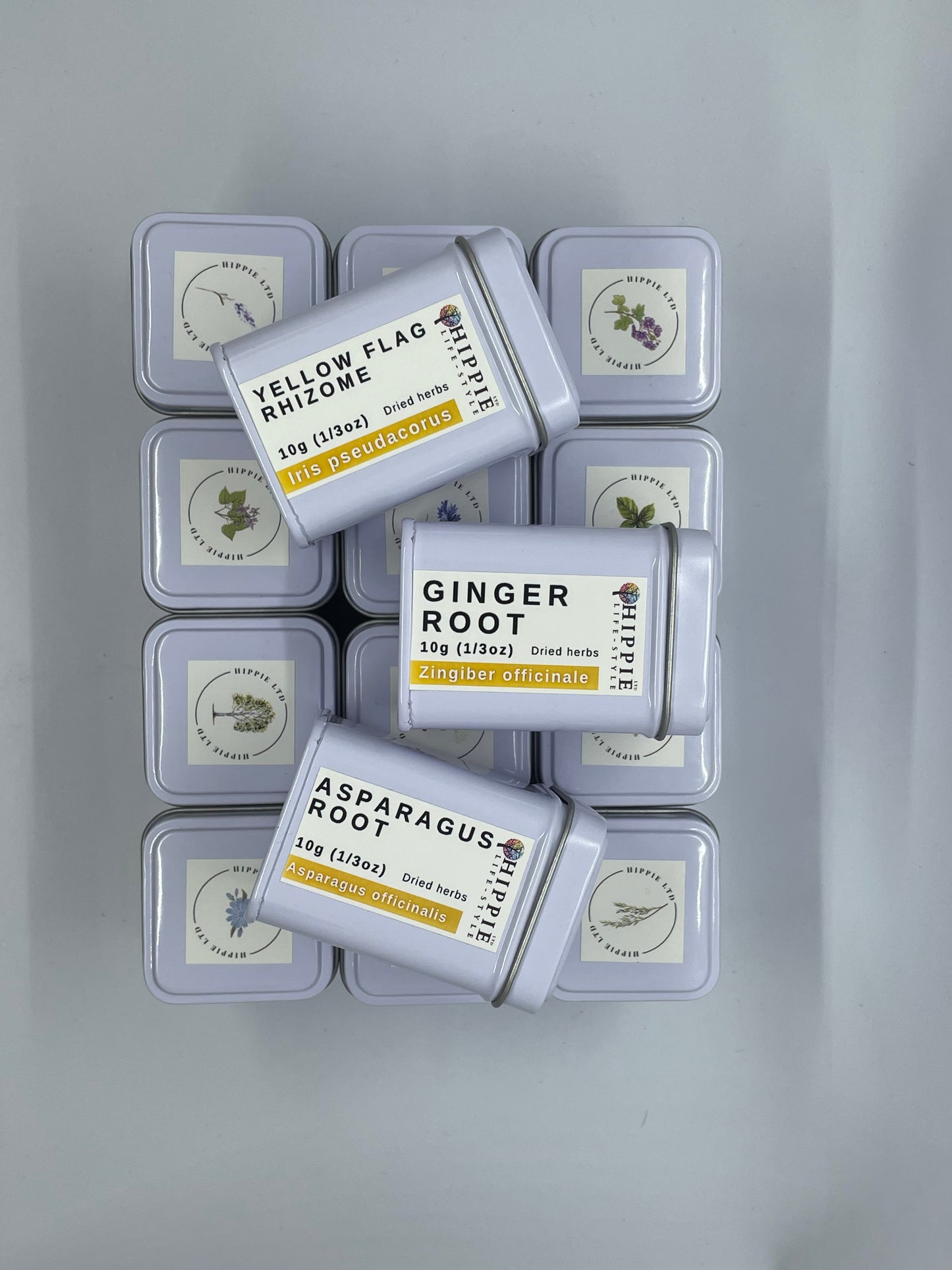 Elecampane Root - 10g Apothecary Collector's Herb Tin