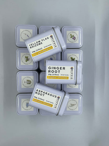 Elecampane Root - 10g Apothecary Collector's Herb Tin
