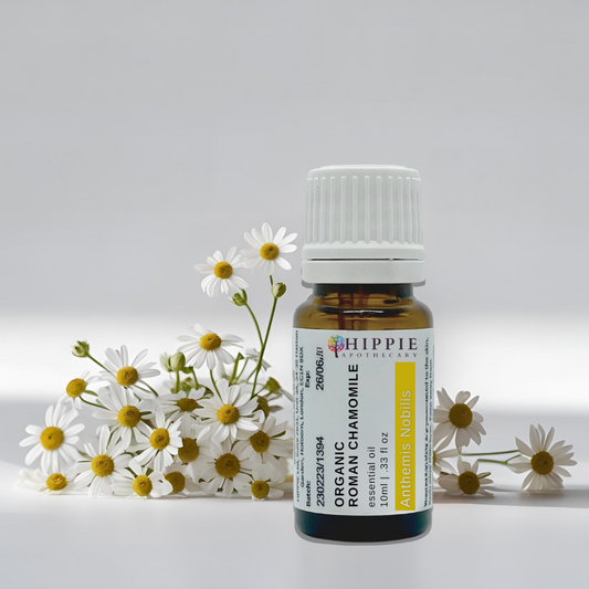 Chamomile Roman Organic (Anthemis Nobilis Oil) Pure Therapeutic Standard Essential Oil - 10mlEssential Oil