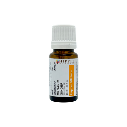 Ginger Organic (Zingiber Officinale Root) Therapeutic Standard Essential Oil - 10ml