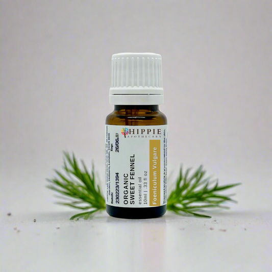 Sweet Fennel Organic (Foeniculum Vulgare) Therapeutic Standard Essential Oil - 10ml