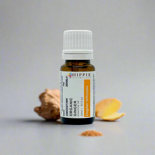 Ginger Organic (Zingiber Officinale Root) Therapeutic Standard Essential Oil - 10ml